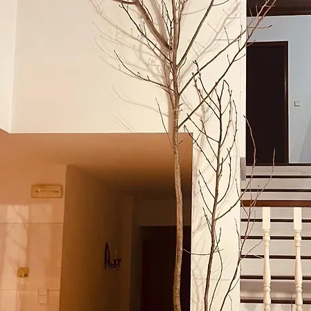 Feriehus Refugio No Campo